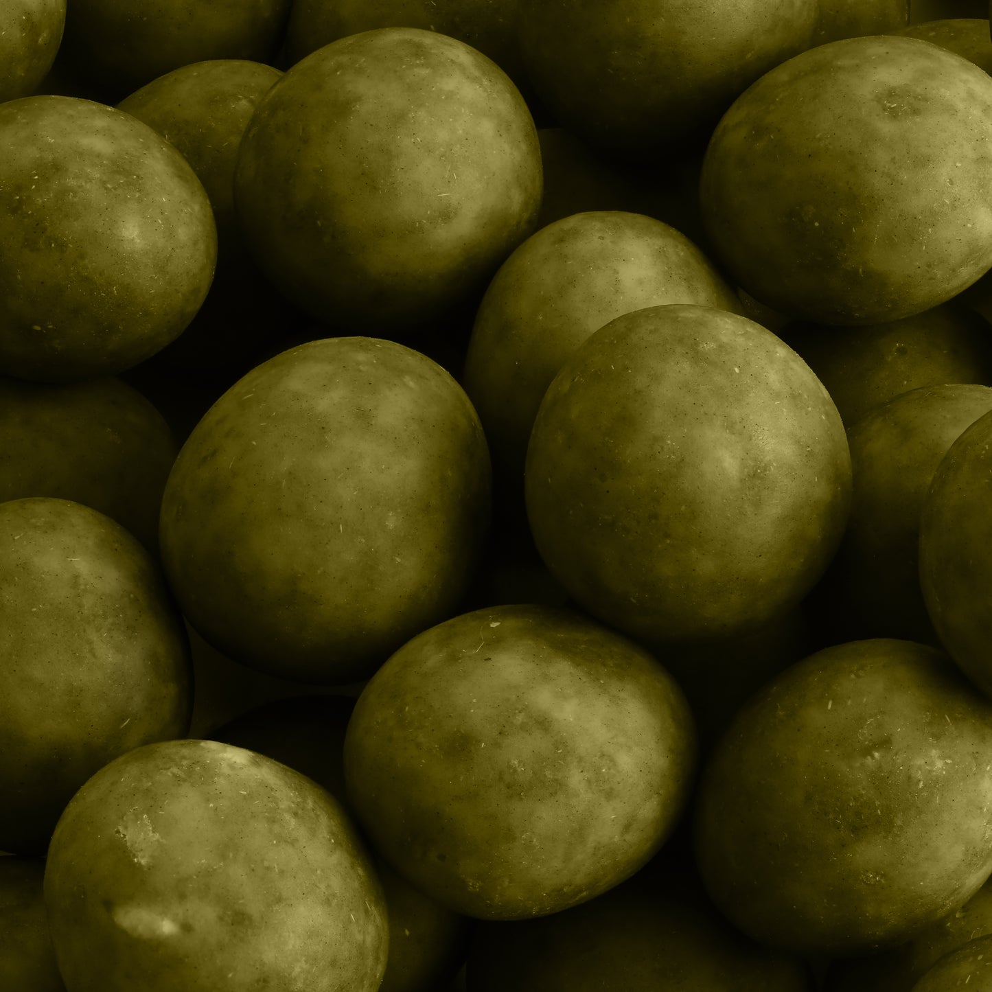 MATCHA CARAMEL Hazelnut