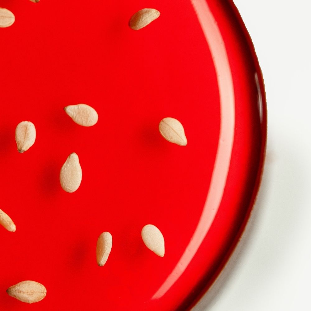 Chocolate-Covered Strawberries