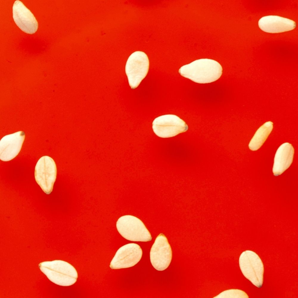 Chocolate-Covered Strawberries